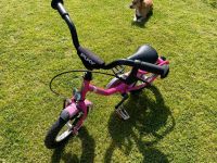 12 Zoll Kinder Fahrrad Pukky pink Schleswig-Holstein - Steinfeld Vorschau