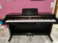 Thomann Digital Piano DP-40 Bayern - Oberhaid Vorschau