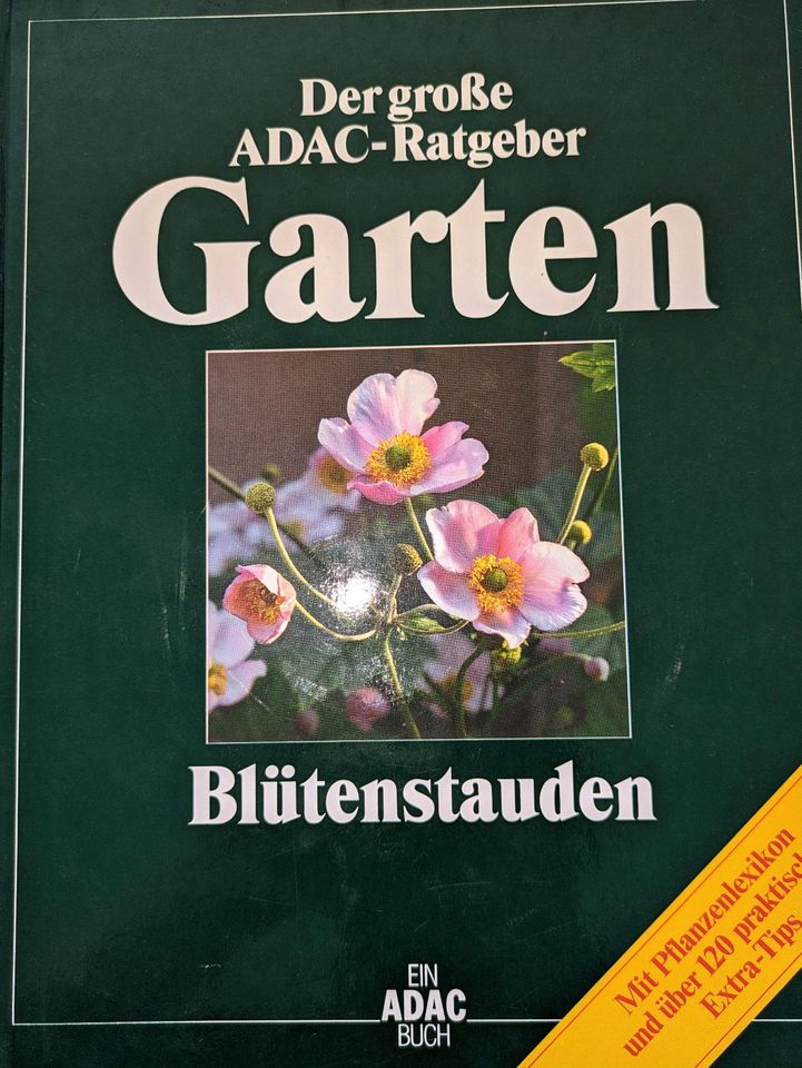 (ADAC) Der große ADAC-Ratgeber, Blütenstauden in Ulm