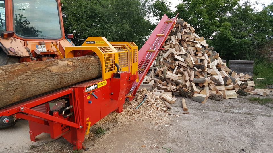 Säge Spaltautomat Oehler OL 4200 H 2021 Sägeautomat SSA Brennholz in Waltershausen