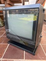 Loewe Profi P115 Fernseher Bayern - Marktrodach Vorschau