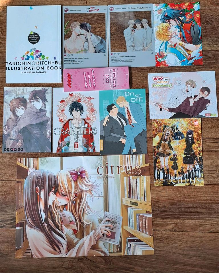 21 BL yaoi manga, Katekyo!, bitch boys, sub.dom.love und mehr! in Bremen