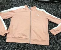 Damen Oberteil Gr 38 von puma Hoodie Jacke Neuhausen-Nymphenburg - Neuhausen Vorschau