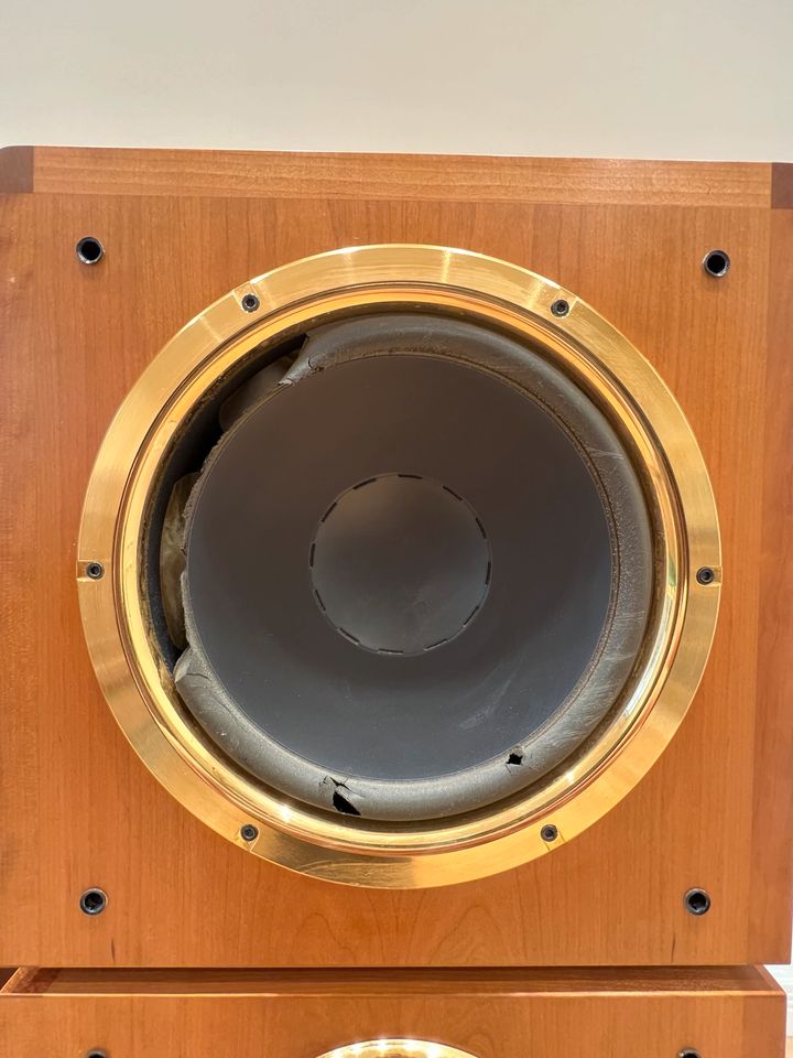 Dynaudio Consequence MK2 in Zweibrücken