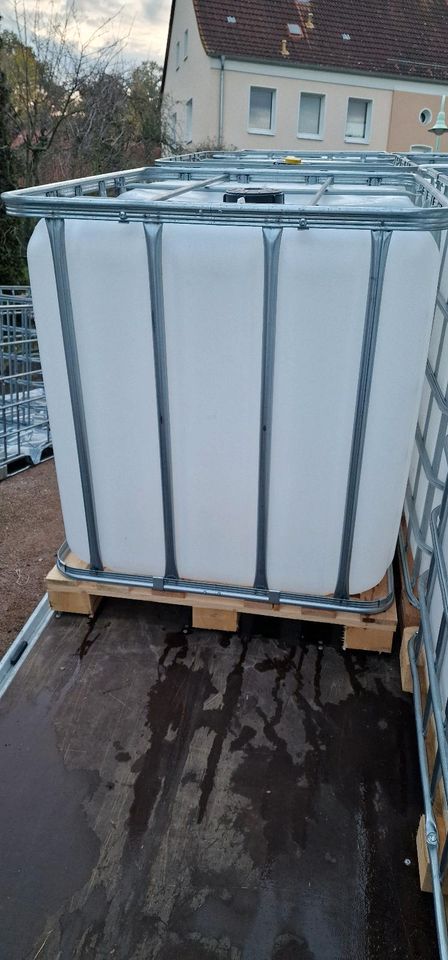 IBC Container 1000l Neuwertig Regenfass Wasserfass Holzpalette in Barchfeld