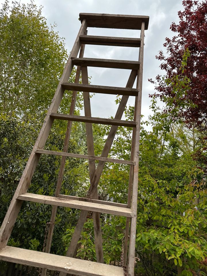 Alte Holzleiter Leiter 11 Stufen 3,10 m Nostalgie Shabby Vintage in Cremlingen