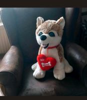 großer Husky kuscheltier mit Herz Love / Valentinstag Niedersachsen - Lohne (Oldenburg) Vorschau