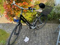 Koga Tourer 8 Damenrad 28 Zoll Schleswig-Holstein - Bargteheide Vorschau