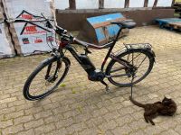 Haibike Xduro Trekking RS 45 km/h Ebike Nordrhein-Westfalen - Westerkappeln Vorschau