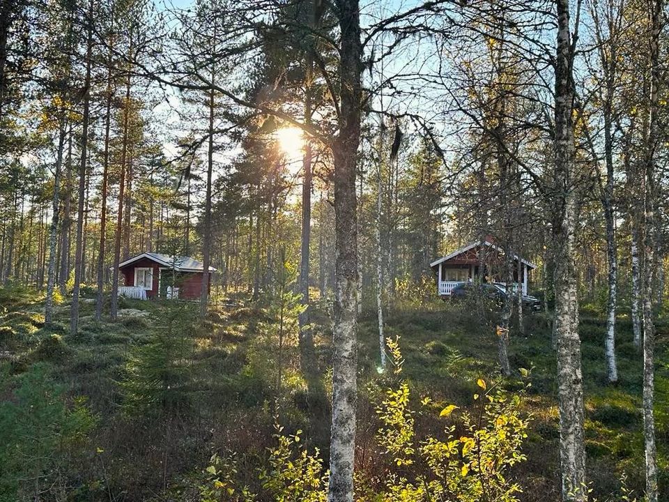 22.6.-1.7.24 Urlaub in der Hütte mitten in der Natur in Schweden in Maikammer