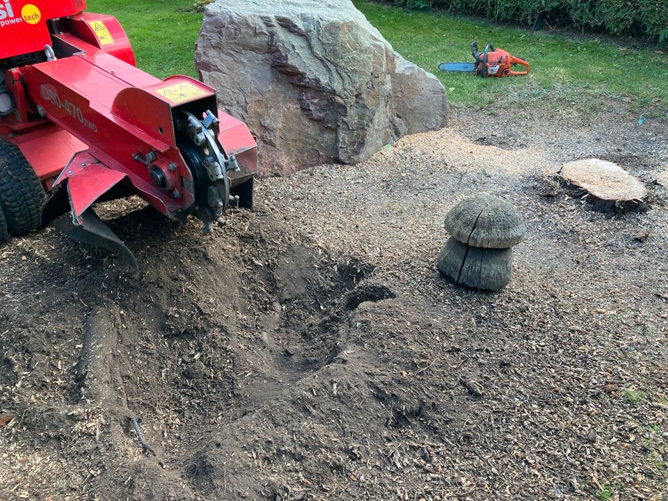 Baumstumpf entfernen, Wurzeln entfernen,Stubbenfräsen,Hecken in Güstrow