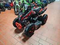 49cc Python Basic Kinderquad 6 Zoll Atv Mini Quad Rheinland-Pfalz - Bad Breisig  Vorschau