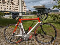 Rennrad Shimano Ultegra, XL, 59-60 mit Carbon Gabel Dresden - Trachau Vorschau