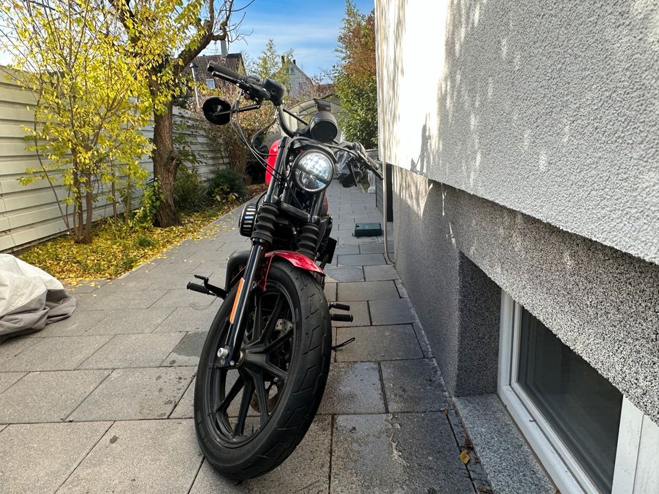 Harley Davidson Iron 1200XL in Stuttgart