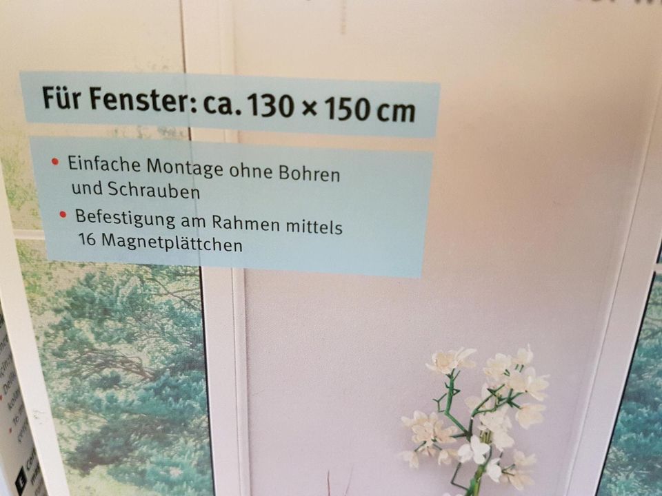 Magnet Insektenschutz Fliegenfenster Moskitovorhang in Selent