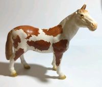 Pinto Hengst - Schleich 13241 Niedersachsen - Jever Vorschau