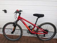 Kinderfahrrad 24" von Raymon Nordrhein-Westfalen - Wenden Vorschau