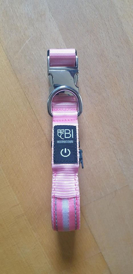 Hundehalsband leuchten blinkend Neu Leuchthalsband Pink S Hunde in Hamburg