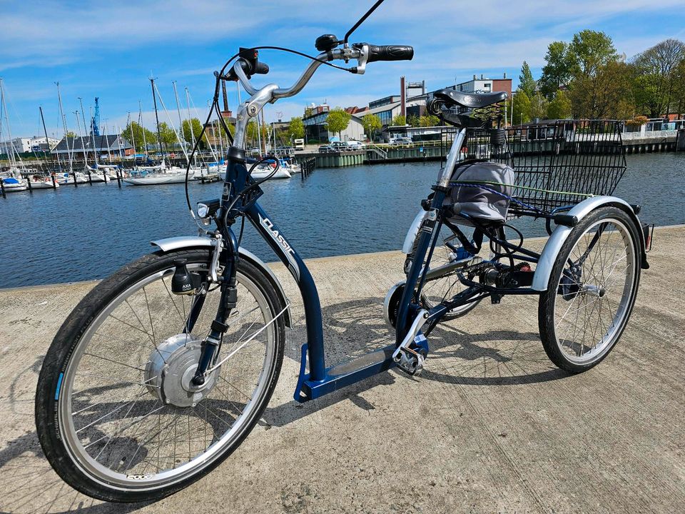 Pfautec Dreirad für Erwachsene Elektro Lastenrad 1300€ in Kiel