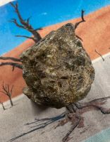 Peridot / Olivin Lanzarote aus Edelstein Mineralien Sammlung München - Altstadt-Lehel Vorschau