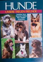 Buch : Hunde . / Neu. Nordrhein-Westfalen - Paderborn Vorschau