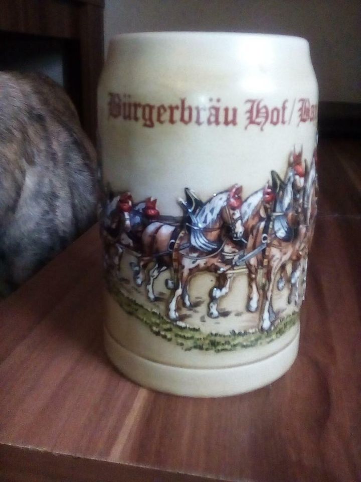 Wunderschöner Relief-Bierkrug aus Steingut der Bürgerbräu Hof/Bay in Oberkotzau