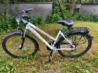 Damenfahrrad Challenge 28' Cityräder Trekking Damenrad Shimano Nürnberg (Mittelfr) - Südstadt Vorschau