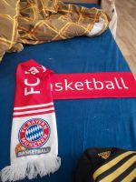 FC Bayern Basketballverein Berlin - Hellersdorf Vorschau