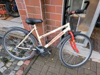 26er Fahrrad gebraucht Thüringen - Neustadt am Rennsteig Vorschau