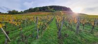 Entschleunigung zwischen Weinbergen und Wiesen Baden-Württemberg - Winnenden Vorschau