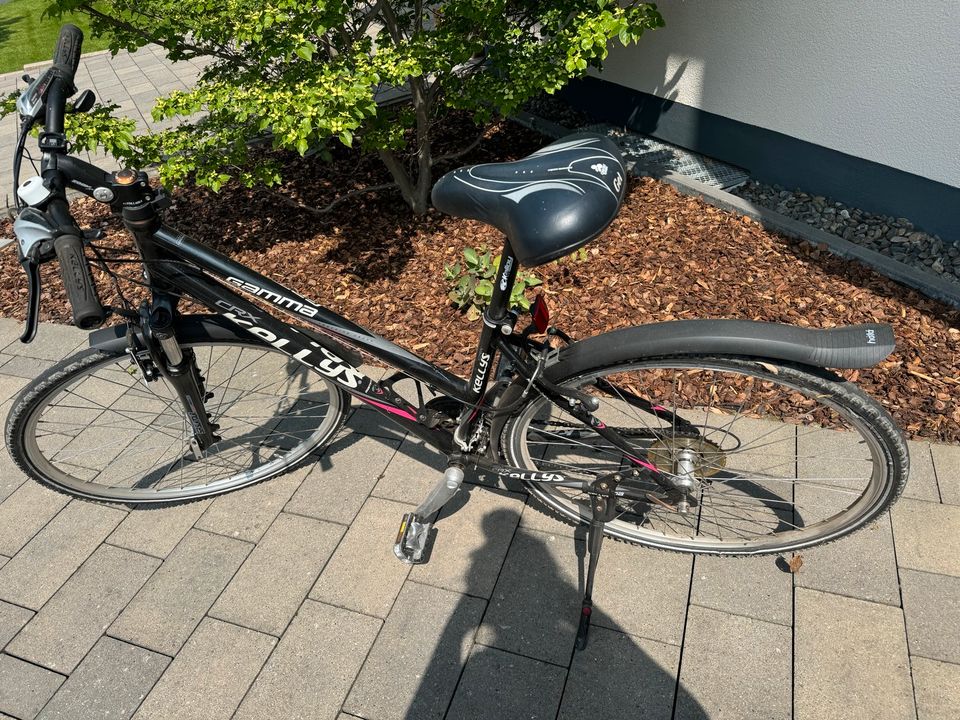 Fahrrad 28 Zoll in Erwitte