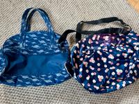 Chiemsee & Blümchen: 2 Taschen an Selbstabholer zu verschenken Baden-Württemberg - Konstanz Vorschau