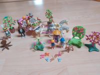 Playmobil Konvolut Hochzeitskutsche Sachsen - Neuensalz Vorschau