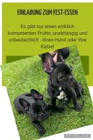 Hundefutter Probieraktion Neuhausen-Nymphenburg - Neuhausen Vorschau