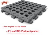 INB® - Paddockplatten für Matsch, ohne Unterbau ab 24,57 € / m² Hessen - Frankenberg (Eder) Vorschau