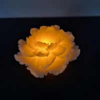 LED - Echtwachskerze Blütenform Nordrhein-Westfalen - Geldern Vorschau