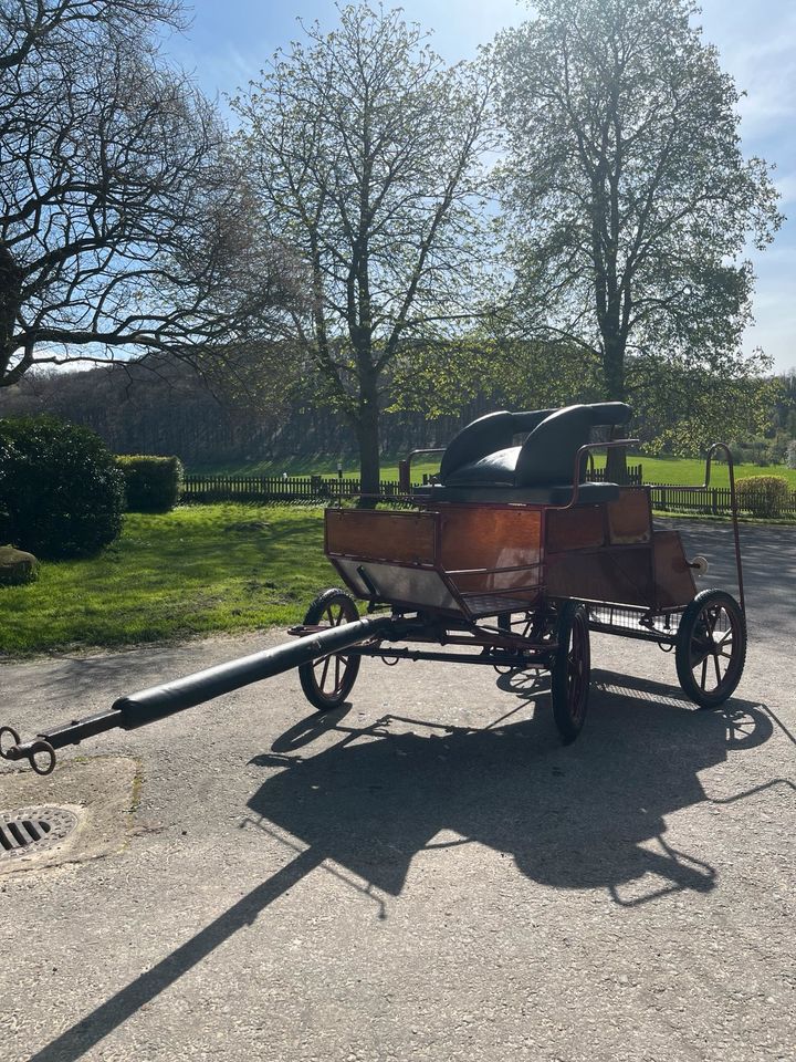 Shetty Kutsche/ Marathonwagen in Lienen