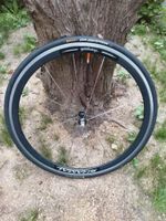 Laufradsatz Campagnolo black shamal 700c München - Altstadt-Lehel Vorschau