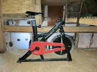 Spinning Bike Bodynamix Prosports Rostock - Hansaviertel Vorschau