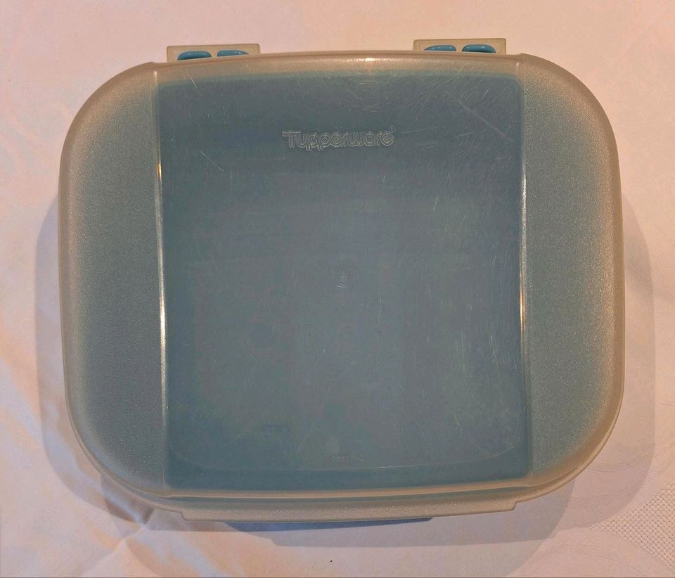 Tupperware Klappdose blau  21 x 17 cm in Achtrup