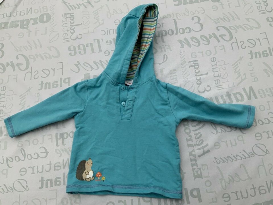 Pullover Hoodie Türkis mit Igel von Bornino Gr74/80 in Lügde