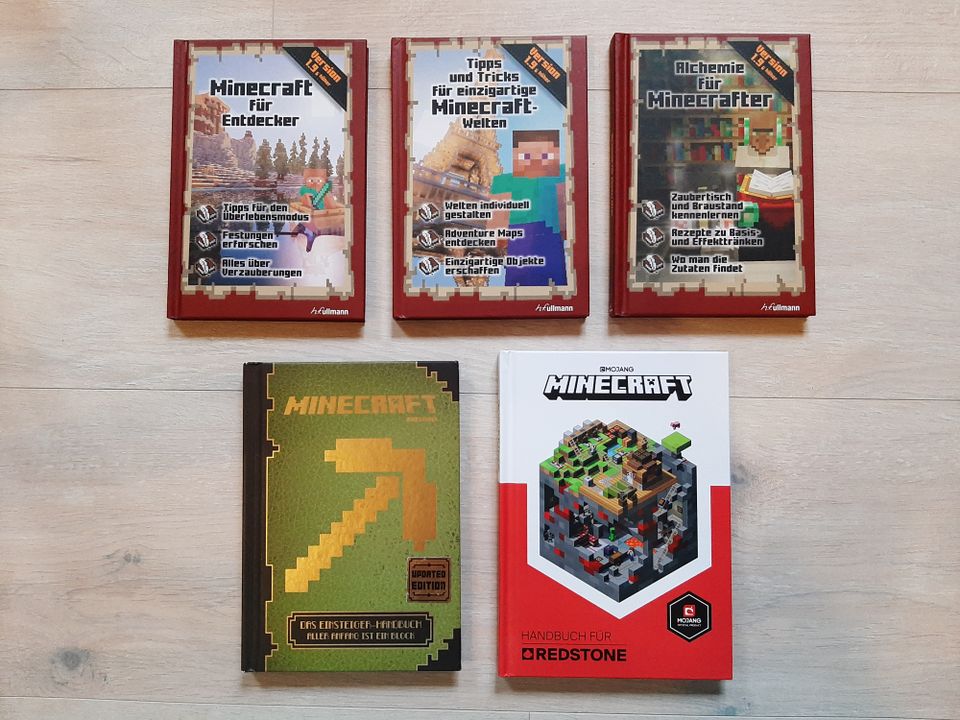 Minecraft Bücher in Netphen