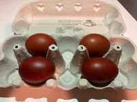 Bruteier Marans Schwarz Kupfer Schokoleger Baden-Württemberg - Alpirsbach Vorschau