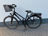 Carver 28 Zoll Fahrrad Damenfahrrad Damenrad Rheinland-Pfalz - Osthofen Vorschau