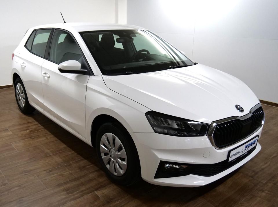 Skoda Fabia 1.0 Active PDC Klima SHZ FSE LED in Hindelang