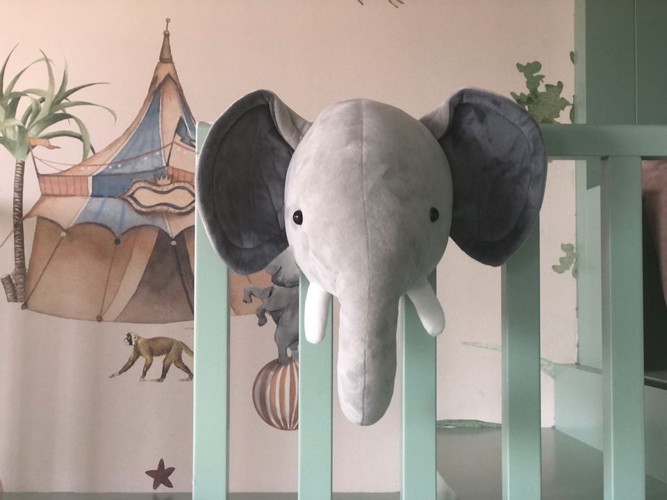 Elefanten Kopf Trophäe Plüsch Wanddeko Kinderzimmer Babyzimmer in Rheinfelden (Baden)