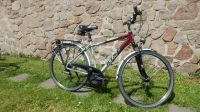 Herren-Trecking-Fahrrad, Marke „RIXE“, 28 Zoll, Shimano-Kettensch Dresden - Cossebaude Vorschau
