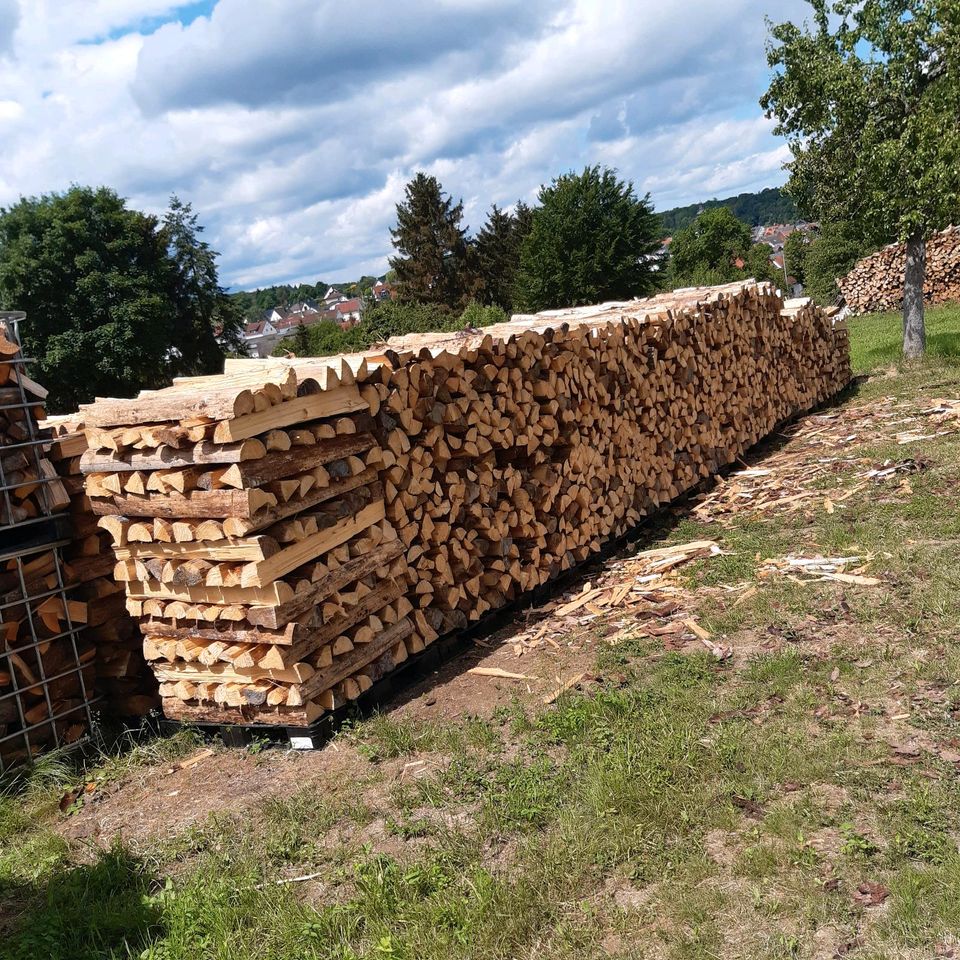 Brennholz Fichte trocken Käferholz in Idstein
