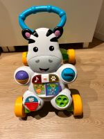 Fisher Price Zebra Lauflernwagen 3 Monate alt Dortmund - Wickede Vorschau