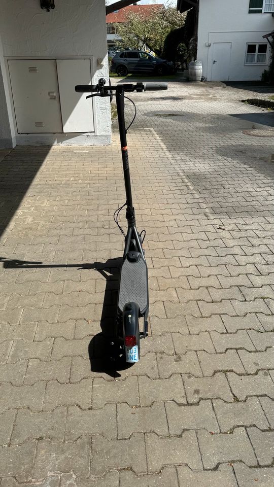 Ninebot/Segway escooter F20D in schwarz in Chieming